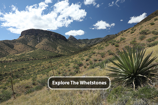 Explore the Whetstone Mountains